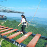 ¿Cuáles son los hoteles más lujosos para tu mascota en el 2025? »