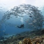 Los 5 Autos que Más Decepcionaron en el 2025 »