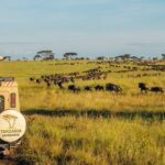 Los acantilados costeros con playas de acceso restringido para turismo sostenible »