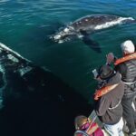 ¿Cuáles son los 5 glaciares accesibles en el mundo para caminar y fotografiar?