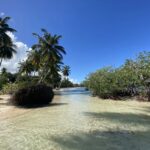 Las 5 islas más hermosas del Mediterráneo para el 2026