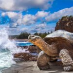 Los 5 pueblos costeros del Caribe que están reinventando el turismo de bienestar en el 2026