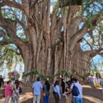 5 edificios tan extraños que valen un desvío en tu itinerario solo por verlos